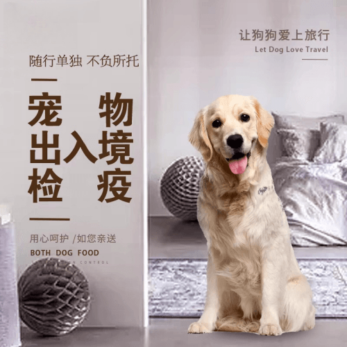金门县宠物托运到哥伦比亚猫狗宠物入境规定和