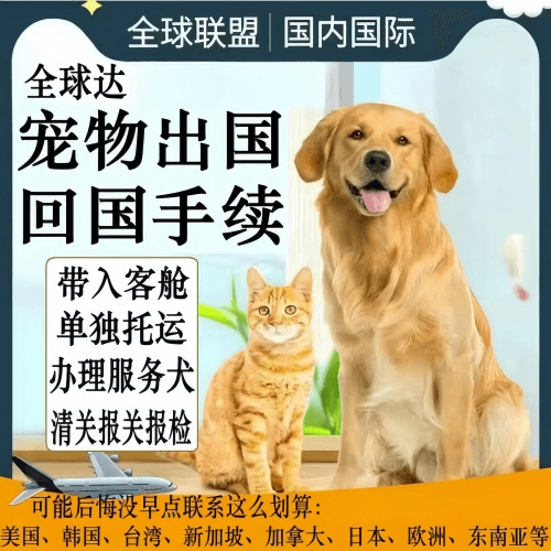 金门县宠物托运到柬埔寨宠物入境规定和要求