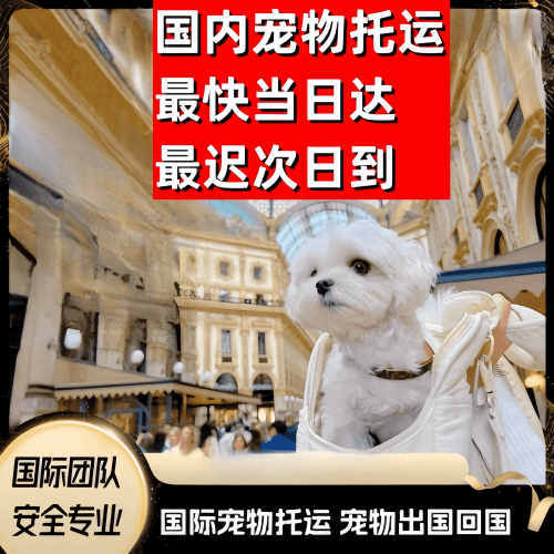 金门县到澳大利亚（澳洲）宠物入境规定和要求