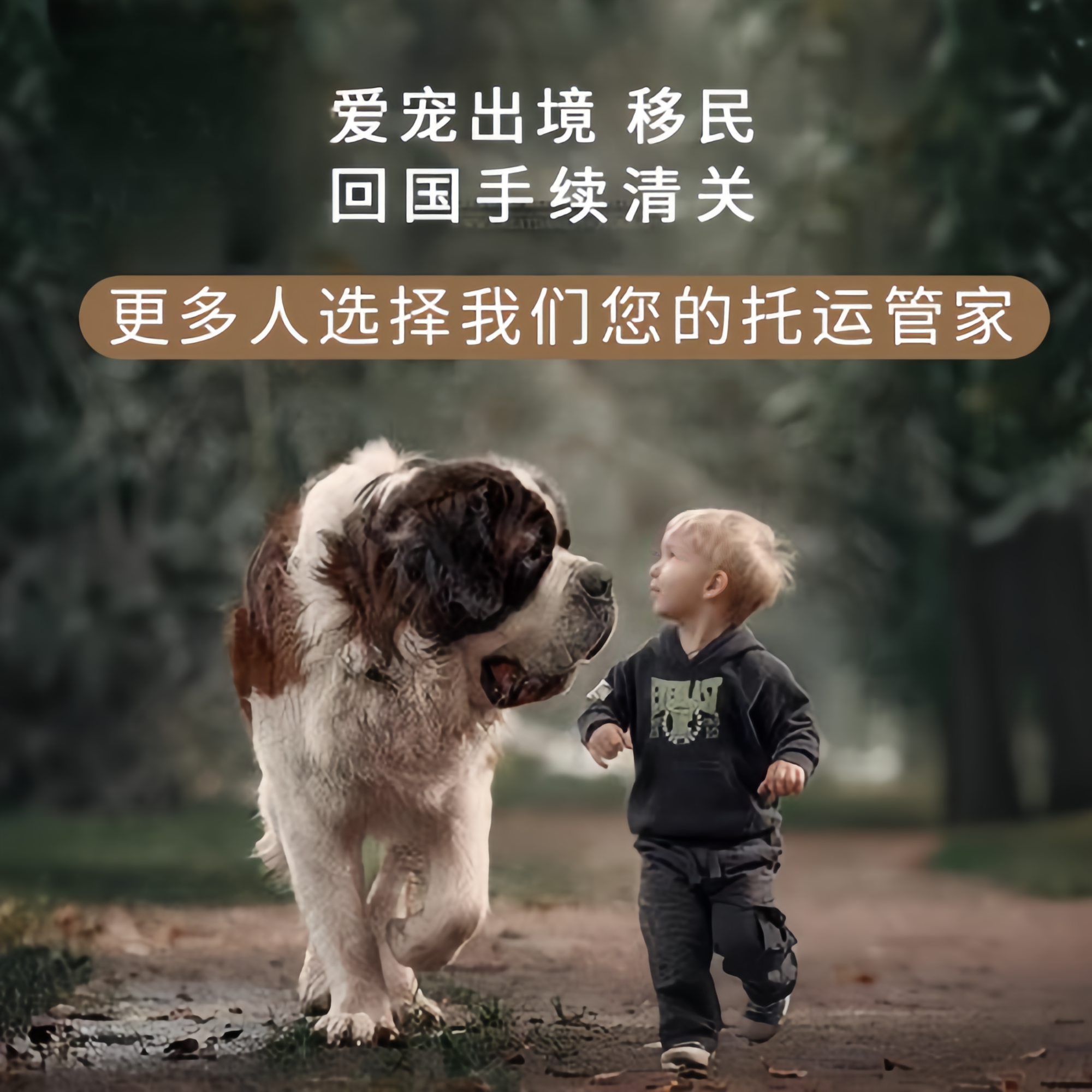 满财金门县宠物全球达宠物托运在遵守入境目的地政策的条件
