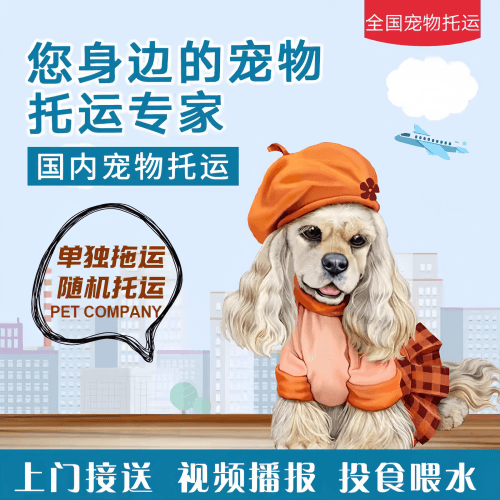 满财金门县宠物全球达宠物托运作为专业的宠物运输代理机构